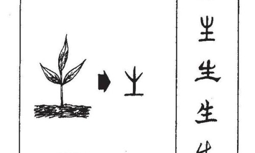 俄罗斯黑鹅肝酱吃法视频-权威德国鹅肝酱平台,分享专业俄罗斯鹅肝罐头的吃法知识_俄罗斯黑鹅肝酱吃法网